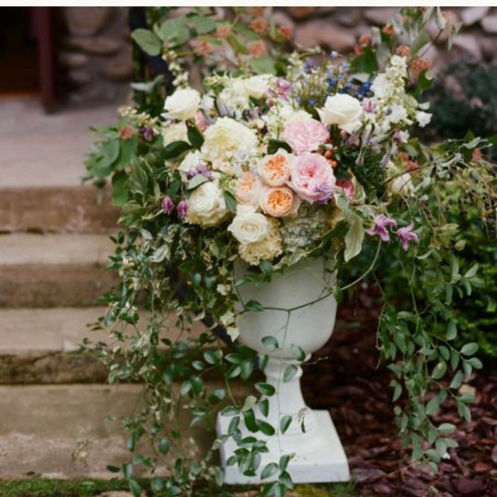 Meet your Posher, Georgie